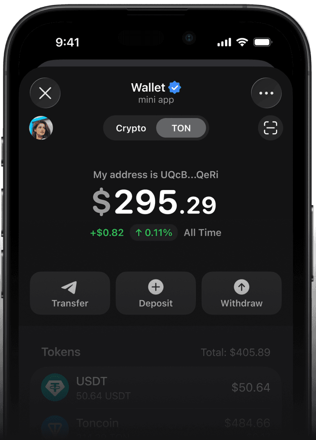 TON Wallet interface